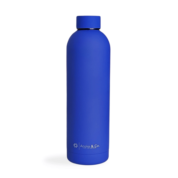 Premium 25 oz Stainless Steel Water Bottle – Hot 12h | Cold 24h | BPA-Free