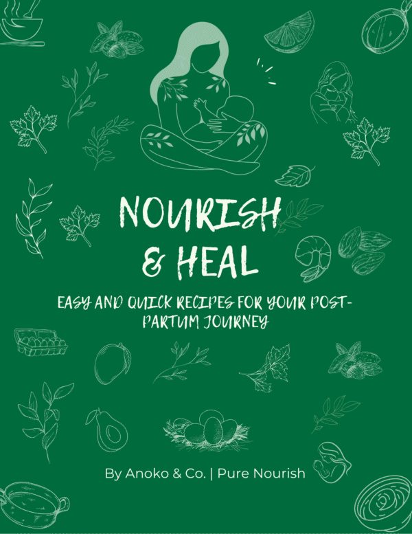 Nourish & Heal : Easy and Quick Recipes for your Post-partum Journey (Hardcover)